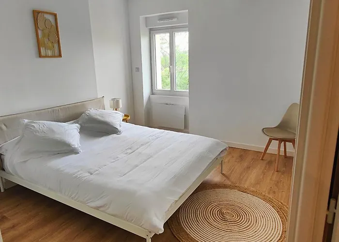 شقة 2 En 1, 10 Pers, Parking, Wifi كليرمونت-فيراند